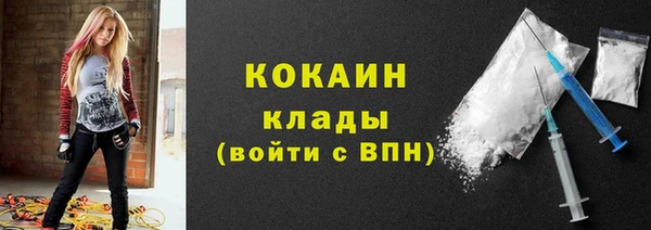 соль ск Алзамай