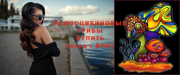тгк Алексин