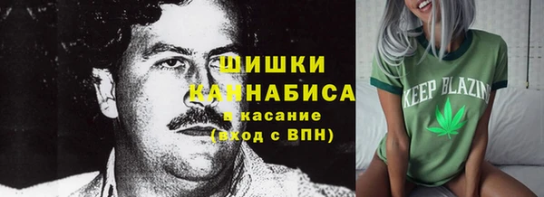 соль ск Алзамай