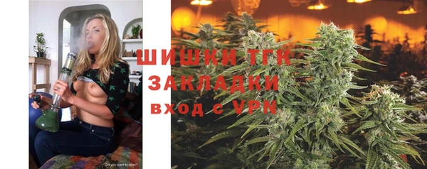 тгк Алексин