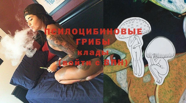 ALPHA PVP Алексеевка