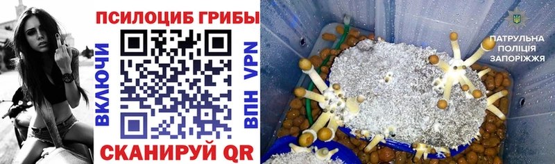 Псилоцибиновые грибы GOLDEN TEACHER  Ефремов 