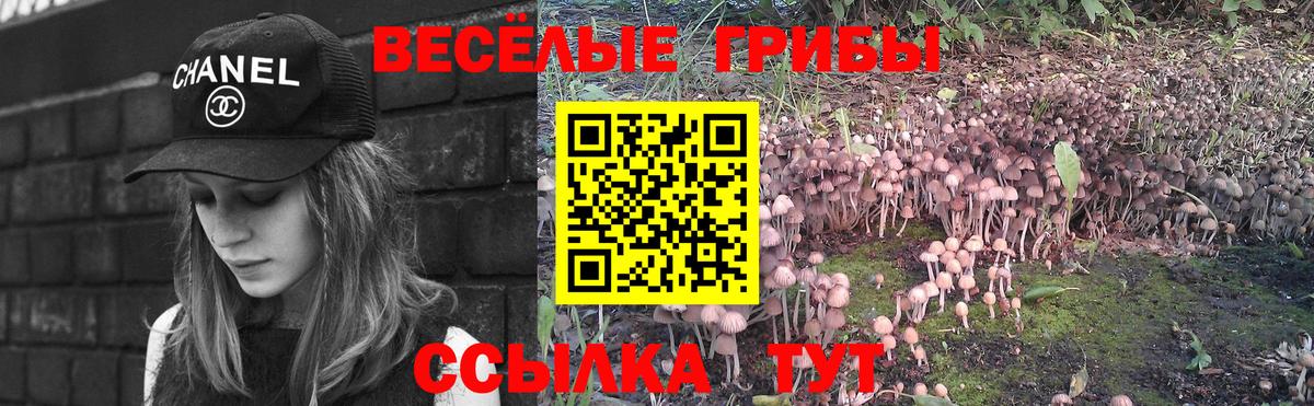 Галлюциногенные грибы Psilocybine cubensis Ефремов