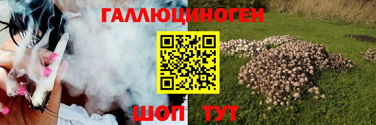 Галлюциногенные грибы мухоморы  Вход с VPN  Ефремов 